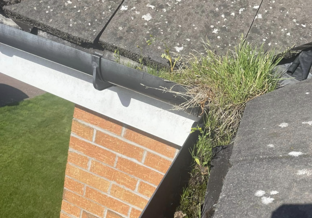 Gutter Cleaning in Armadale