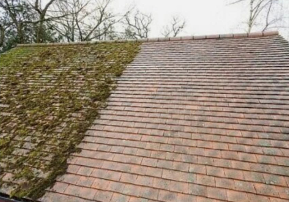 Penicuik Roof Cleaning Company