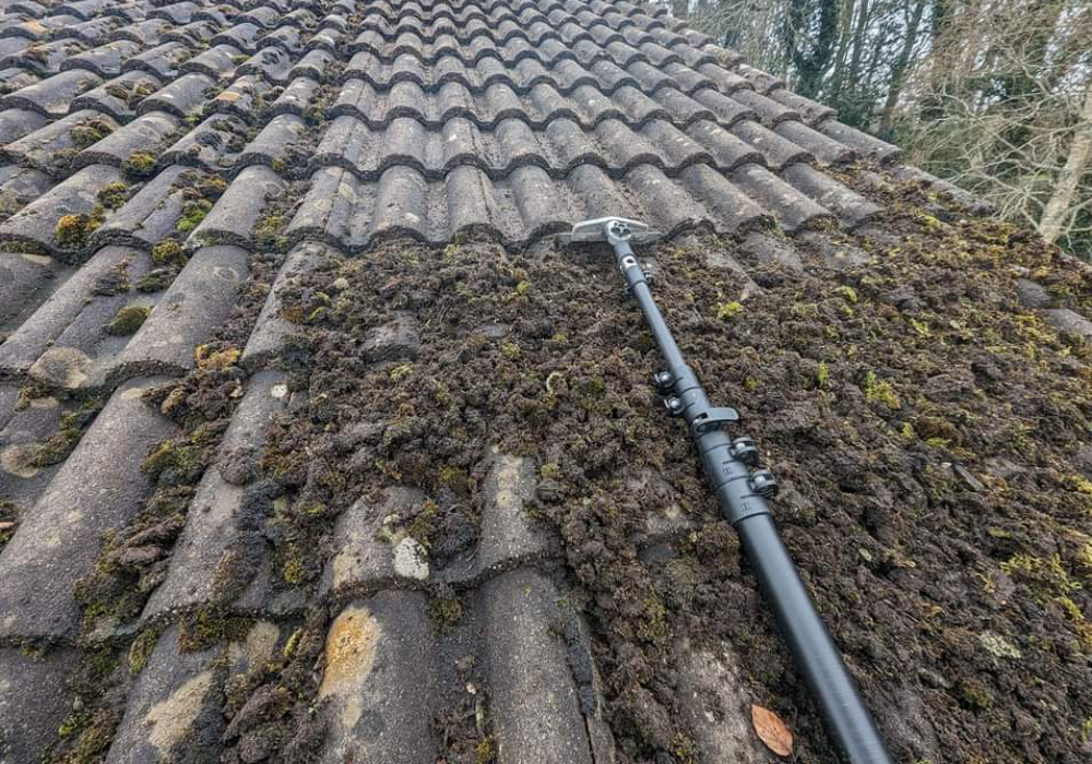 Roof Cleaners in Linlithgow