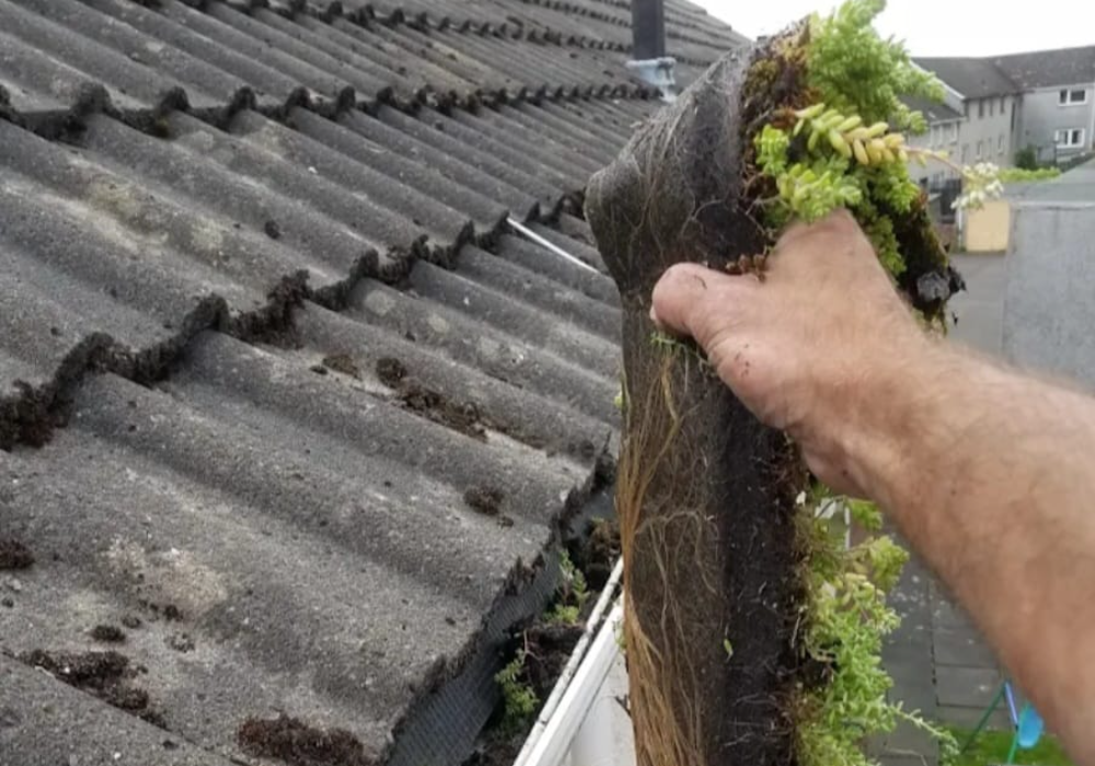 The Importance of Gutter Maintenance: Protecting Your Home and Investment
