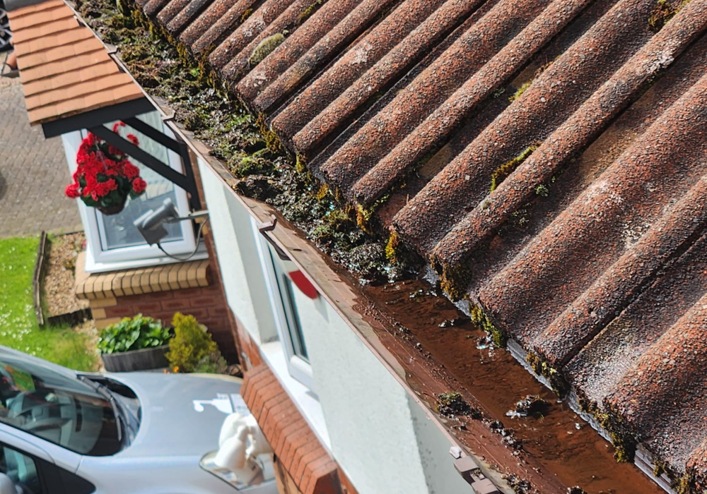 Understanding Blocked Gutters: Identification, Causes, and Solutions