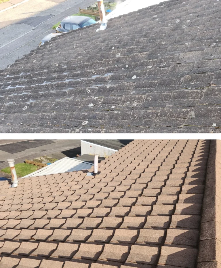 Biocide roof cleaning in Edinburgh