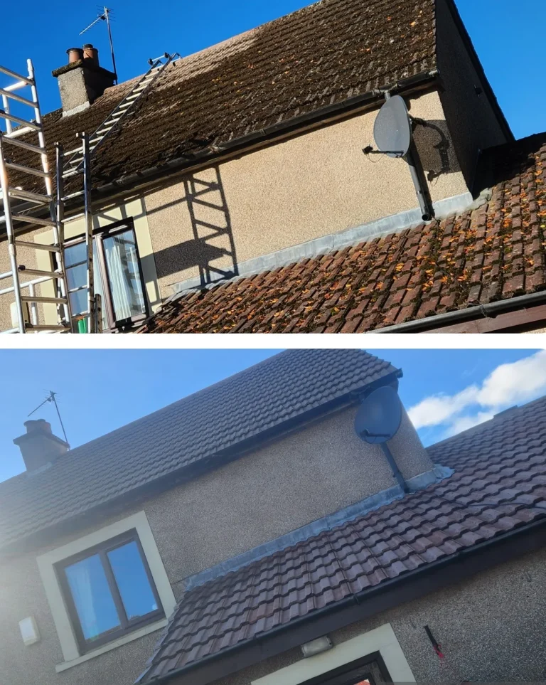 Specialist roof cleaning Edinburgh