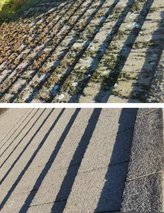 moss removal from a roof in fife