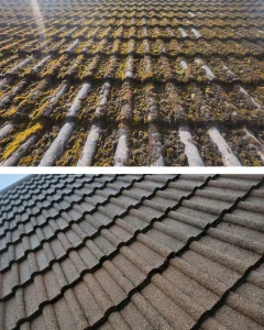 moss roof removal fife