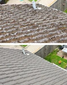 Fife roof cleaning moss removal