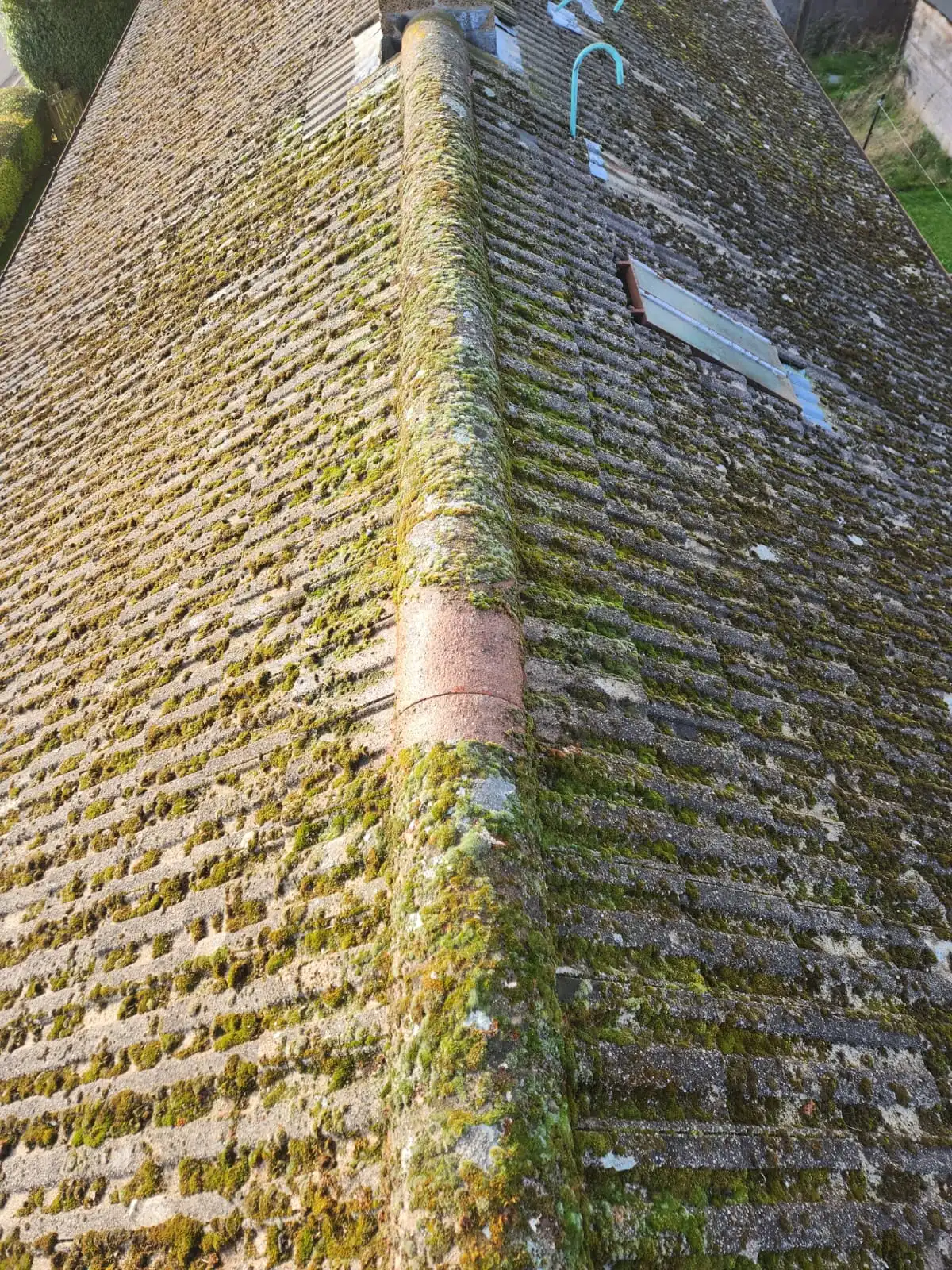 does moss cause damage to roofs