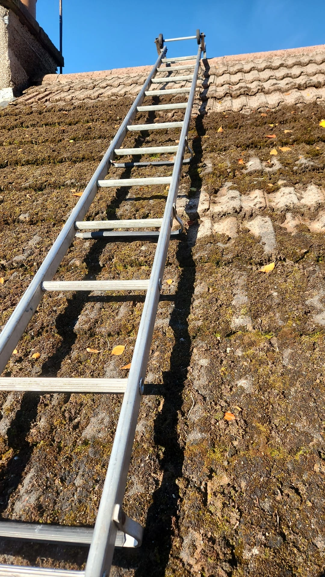 seasonal roof cleaning